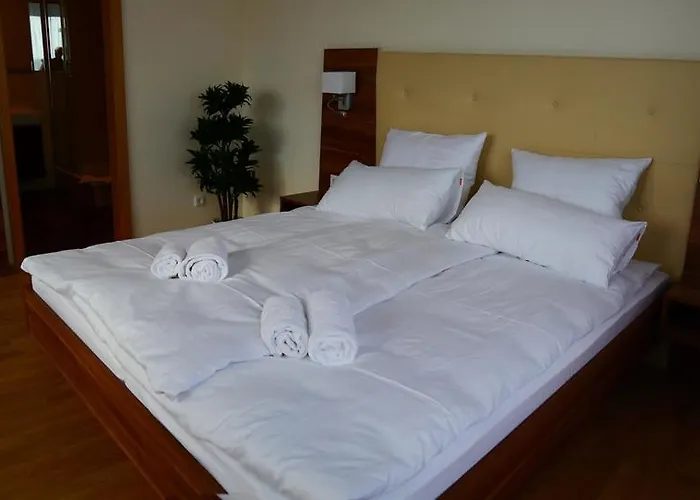 Hotel Boarding House Holledau 3*